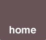 home button